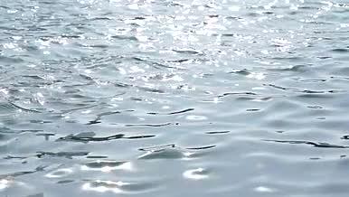 春天湖水波光粼粼水视频的预览图